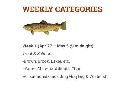 Screen Shot 2019-05-06 at 12.33.30 PM