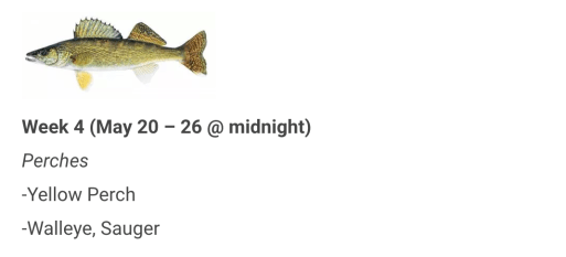 Screen Shot 2019-05-25 at 6.28.04 PM