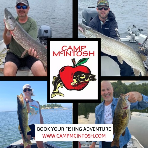 Check out Camp McIntosh – CFN Fish Off